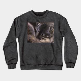 Algonquin Wolf Crewneck Sweatshirt